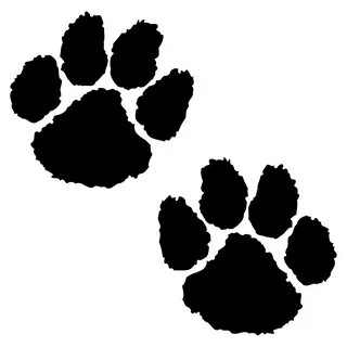 Animal Paw Png Related Keywords & Suggestions - Animal Paw P