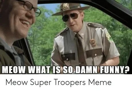 MEOW WHAT IS SO DAMN FUNNY? Meow Super Troopers Meme Funny M