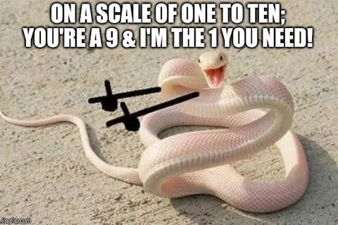 Bad Joke Snake Latest Memes - Imgflip