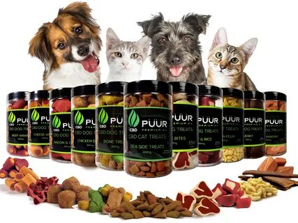 What Are Cbd Treats For Dogs