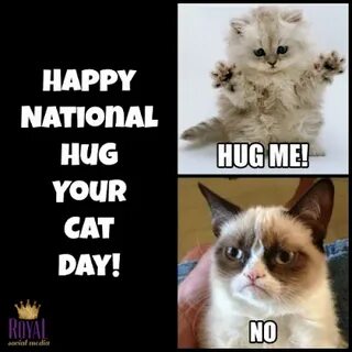 Royal Social Media: National Hug Your Cat Day! Hug your cat 