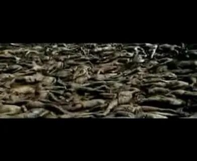 Apocalypto- Mel Gibson -Wally- (Waldo) - YouTube