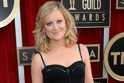 Amy Poehler Lands a Deal to Write a Book We Already Want to 
