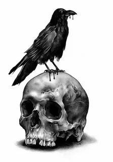 Skull & Raven Art Print by leonmorley - X-Small Skull art dr
