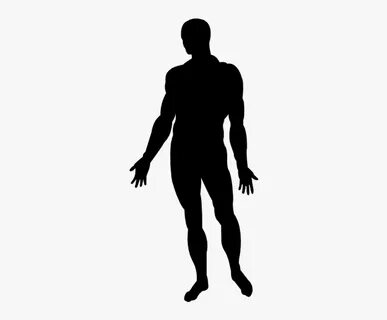 Human Body Silhouette Homo Sapiens Photography - Man Body Si