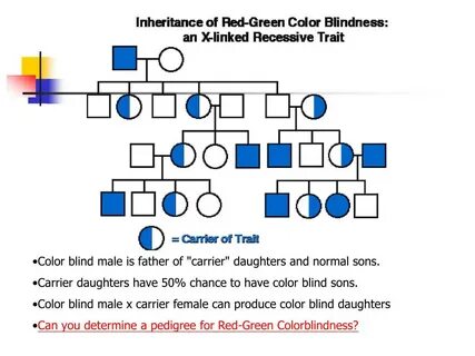 red green color blindness pedigree chart - Fomo