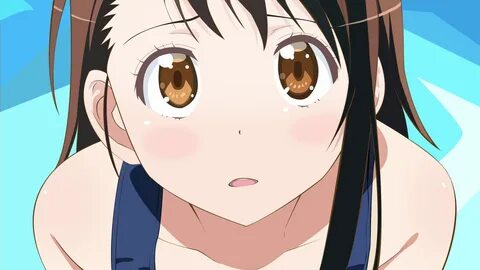 Anime Girl de A a Z: Kosaki Onodera - AniHome Nisekoi, Гифки, Ранобэ, Самые...