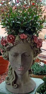 Head Planter with kalenchoes Garden art, Head planters, Gard