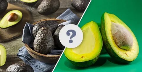 Which Avocado Is Best Black Or Green