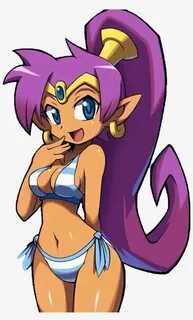 Bikini Outfit - Shantae In A Bikini - 1024x1649 PNG Download