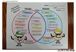 Gallery of comparing and contrasting mitosis and meiosis ven