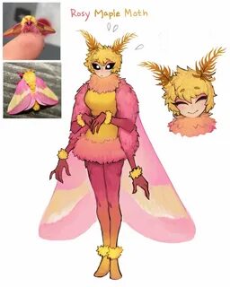 Rosy Maple Moth! Gijinka / Moe Anthropomorphism Fantasy char