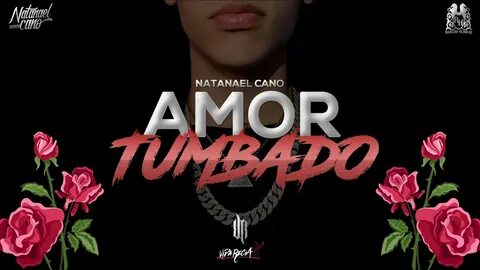 Amor Tumbado - Natanael Cano (letra) - YouTube