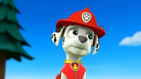 Marshall - Marshall - PAW Patrol تصویر (40156626) - Fanpop