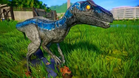 Blue vs Indoraptor Breakout & Fight - Jurassic World Evoluti