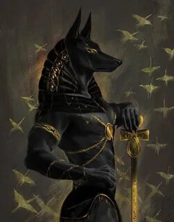 Anubis Breed - 66 photo