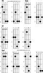 G2 Chord 10 Images - Chord Guitar, B7 Chord In 5 Easy Steps 