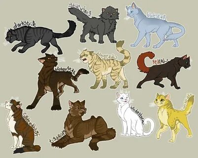 Warrior Cats Reference Sheet By Xxthatepicdrawerxx On Devian