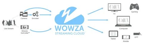 Wowza Server Related Keywords & Suggestions - Wowza Server L