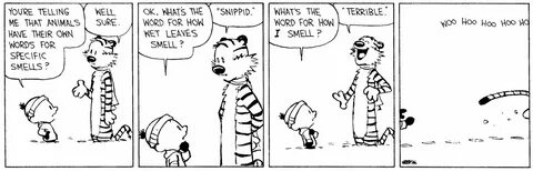 Smell you later Calvin and hobbes, Calvin and hobbes comics