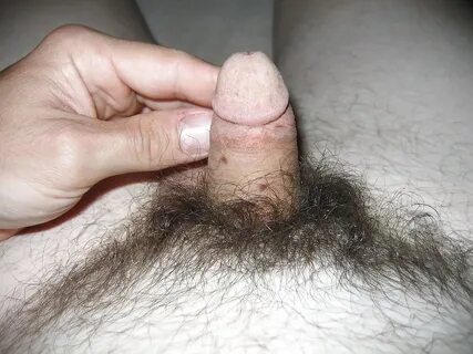 Closeups of my Hairy Small Soft Cock 5yrs ago - 8 Pics xHams
