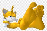 Sonic the Hedgehog Tails Foot Sonic Chaos, SANTAI, karnivora