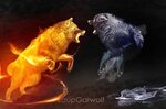 Cool Fire Wolf Wallpaper