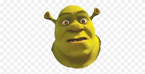 Shrek Green Meme Funnymemes Lindo Marido Freetoedit - Cara D