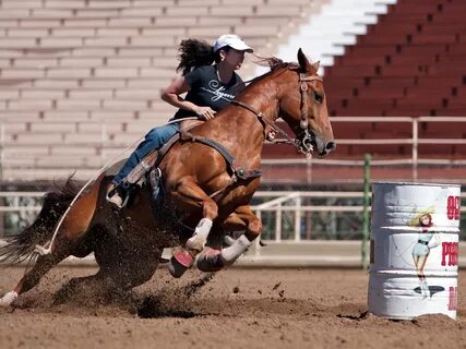 Скачать обои девушка, конь, спорт, раздел спорт в разрешении