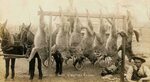 30 Historic Hunting Photos That Will Take You Back Hunting p