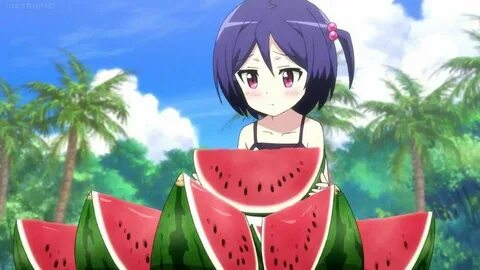Mr. Watermelon at castle town dandelion... Anime Amino