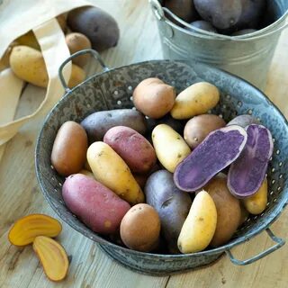 Potato Varieties