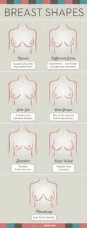 Knowing your boob shape will get you one step closer to bra heaven - SheKnows