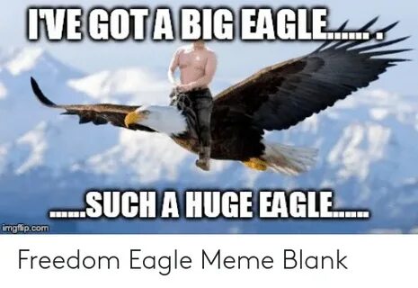 🐣 25+ Best Memes About Freedom Eagle Meme Freedom Eagle Meme