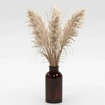 Bouquet of pampas grass (44790) 3D model - Download 3D model