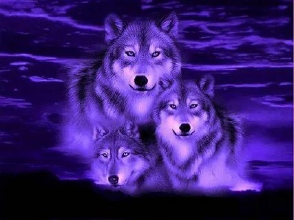 Purple Wolves Wallpapers - Wallpaper Cave