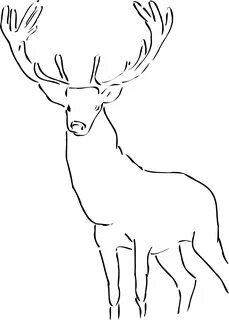 Reindeer Line Art Related Keywords & Suggestions - Reindeer 