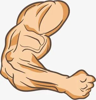 Muscles clipart arm leg, Picture #2992113 muscles clipart ar