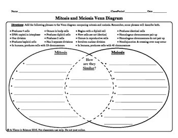 Venn Diagram Mitosis Vs Meiosis - Wiring Diagram Source