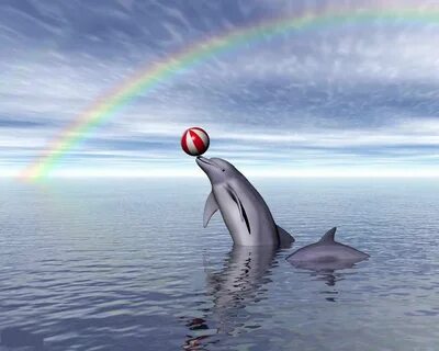 Картинка дельфина красный фон (199 фото) " ФОНОВАЯ ГАЛЕРЕЯ К