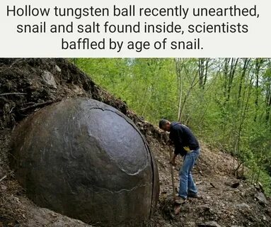 Immortal snail found in tungsten sphere. - Album on Imgur