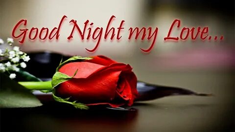 Good Night Love Quotes, Wishes & Messages With Images