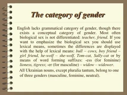 The category of gender 