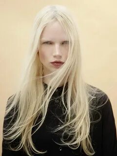 Exercice de Style Nordic blonde, Hair, Beauty