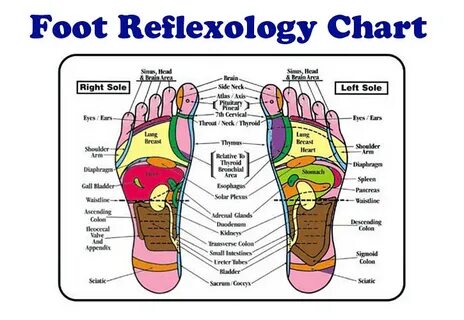 Trend Terbaru Reflexy Kaki