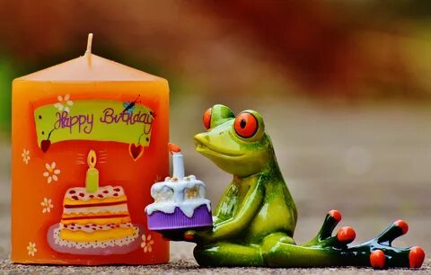 Little frog for birthday free image download