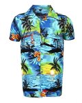 SAITARK Mens Hawaiian Shirt Stag Beach Hawaii Aloha Party Su