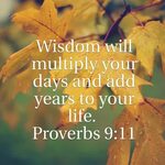 Image result for proverbs 9:11 Proverbs 9, Proverbs, Bible s