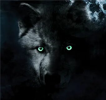 Black Wolf With Blue Eyes Wallpaper posted by John Simpson