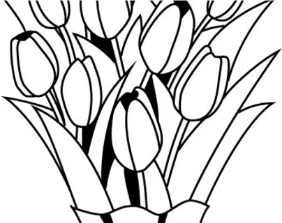Drawn Bouquet Flower Arrangement - Black And White Flower Bo